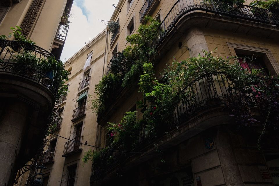 Balcones con plantas en un edificio de pisos